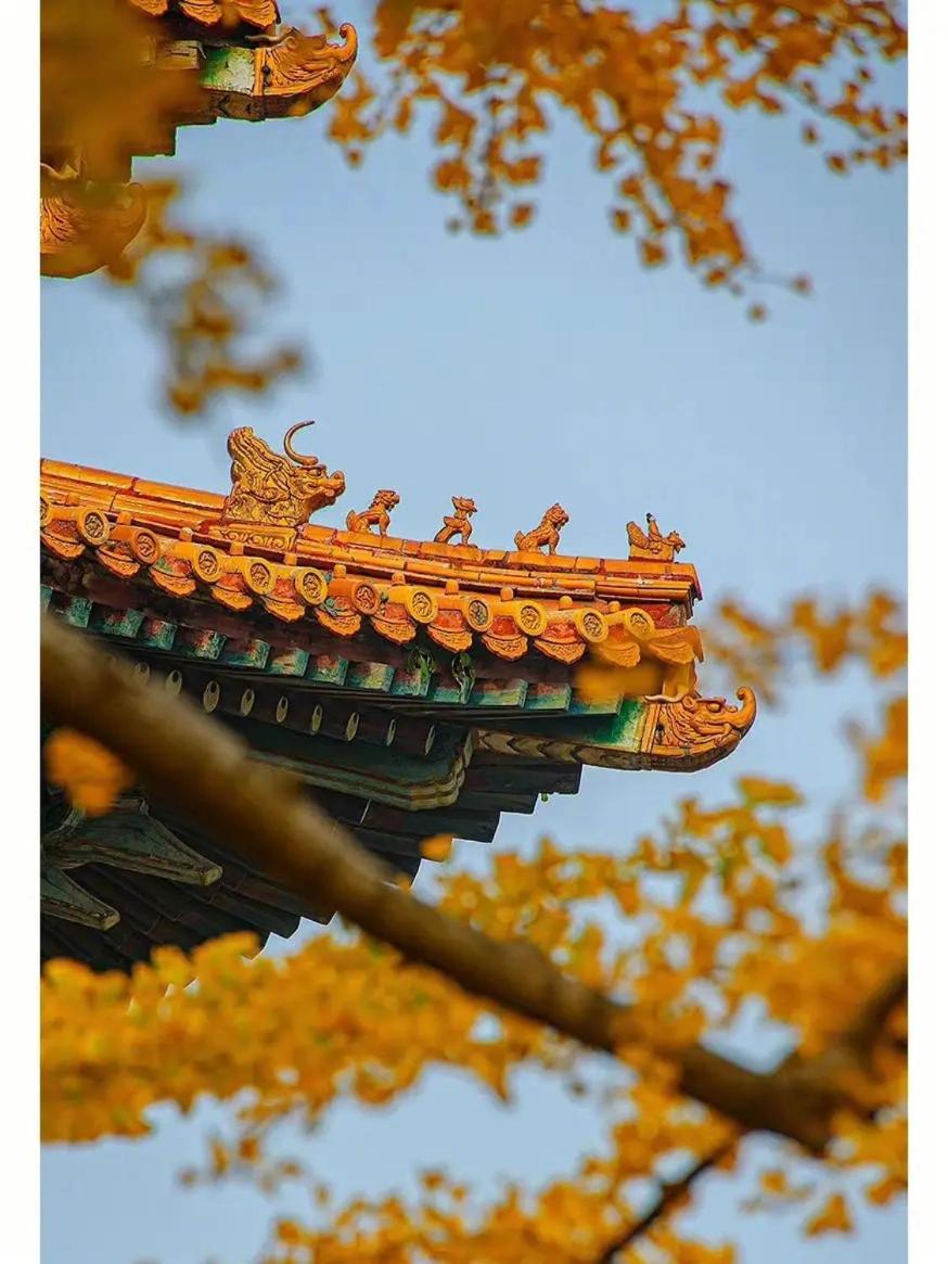Hotel Jingfang Building Smart - Located In The Busiest Part Of The Downtown Area, Near Tiananmen Square And The Forbidden City,wangfujing Shopping Street ,newly Opened Hotel,provide Free Laundry Service,provide Tourism And Ticketing Services Pékin (Beijing)